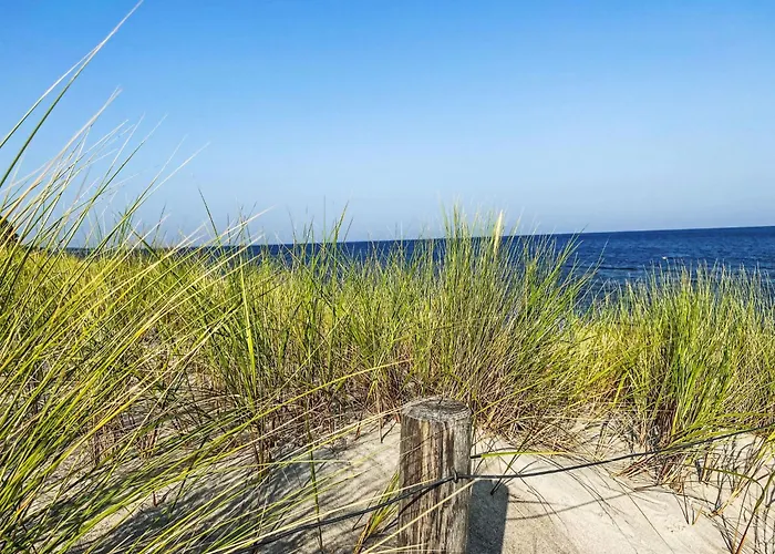 Blaumuschel - Lub118 By Interhome